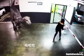 爆笑，小伙伴恐龙吓人，人都给吓崩溃了图片