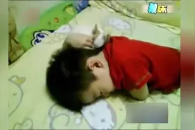 疯狂狗狗叫小主人起床上学，看你还敢不敢赖床图片