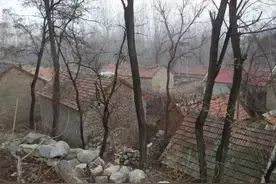 我在沂蒙山区养了一头“扶贫猪”，快戳进来看看！图片