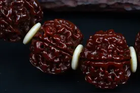 金刚菩提怎么盘红图片