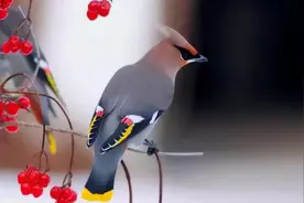 郑州公园知多少？周末踏青散步就去这些地方！图片