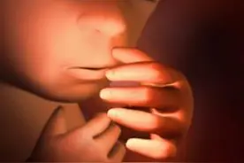 怀孕25周胎儿有哪些变化图片