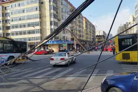 大货车刮断空中电缆后续图片