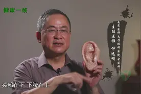 耳朵上的穴位太多了，关于耳穴最全的一个视频，看完你就都懂了