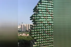 带你入住三亚大树酒店，据说是赵本山投资的