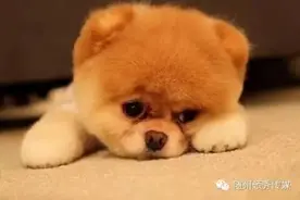 在随州，月薪3000元左右的，你就等着哭吧！图片