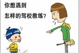 学车，你更偏好哪种类型的教练？图片