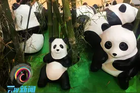 “熊猫军团”攻占曼谷 萌翻众人图片