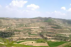 静宁又上央视了，这些历史你知道吗？视频封面