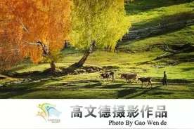 《三峰摄影》原创 ∥ 呼伦贝尔摄影作品图片