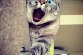 联通用户注意了：这种情况你的话费能“砍价”图片