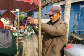 高手在民间：鱼挂网上卖，武穴郭大爷卖鱼，自卖自娱！图片