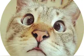 中国服饰专栏｜戏曲人生缩影，戏服时装演变图片