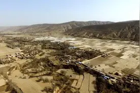 春天来了，小蜜蜂都在忙什么？图片