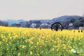 不一样的风景，不一样的心情图片