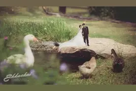 小夫妻拍婚纱照玩创意，结果搞出了灾难！图片