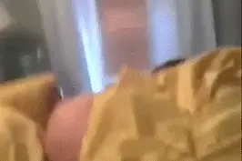 狗狗花式叫醒服务，真是辛苦它们了~~图片