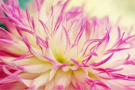 手机号码带什么数字越多财运越好，衰运转旺赚99万金钱图片