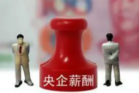 工行董事长年薪仅50万 国企央企老总赚这么多你信吗