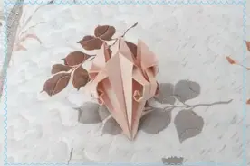 永不凋落的花骨朵图片