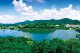 春天的东莞哪里好玩？免费又适合游玩的地方！图片