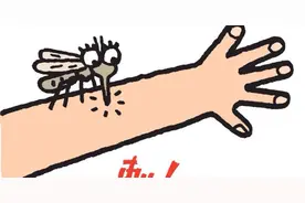 别小瞧秋蚊子！不仅吸你的血，还可能要你的命图片