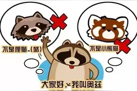 浣熊科普图片