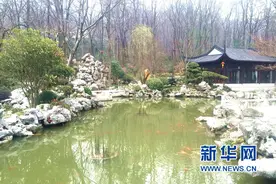 南京最神秘酒店:紫金山中的东郊国宾馆图片