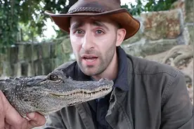 网红挑战被短吻鳄咬伤手臂 告诫人们勿养其当宠物图片