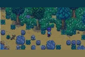 星露谷物语stardew valley虚空蛋有什么用 虚空蛋孵化方法图片