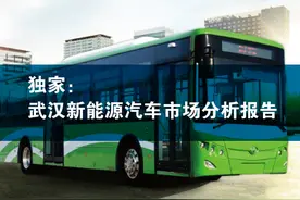 武汉新能源汽车市场分析报告图片