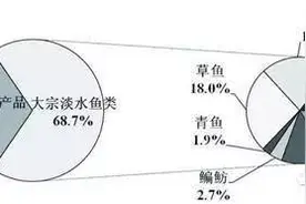 2016年草鱼市场前景分析暨早期鱼池管理要点（一）图片