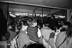 北京动物园树懒最近“火”了图片