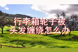 行李箱轮子，被头发缠绕怎么办