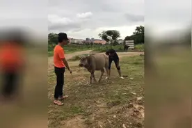 你见过吹牛逼吗？这次让你真的见识一下什么叫吹牛逼视频封面