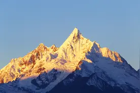 揭秘玛咖暴跌的真相视频封面