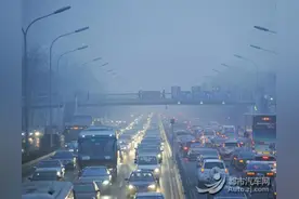 4月1日起浙江将执行“国五” 二手车省内互转暂不受影响图片