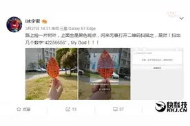 随手捡了一片树叶 居然扫出一串数字图片