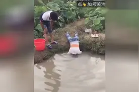 搞笑段子-这样子抓鱼，看看抓到什么了！视频封面