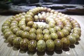 久龙说文玩（12）——撕开星月菩提的标签图片