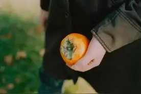 我要爱，要生活，把眼前的一世当作一百世一样图片