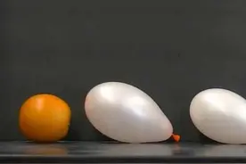 气球杀手--橙子 怎么也想不到 橙子的汁液可以瞬间让气球爆炸图片