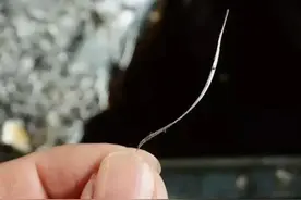 梗死斯巴鲁发动机的真凶（7）图片