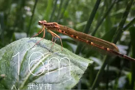 拍了一大堆照片，居然可以快速修图，告别一张张的粗笨处理图片