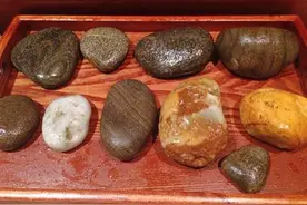 别什么石头都往家里捡图片