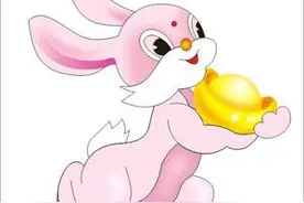 2016年十二生肖的幸运色：今年你的衣服穿对颜色了吗？图片