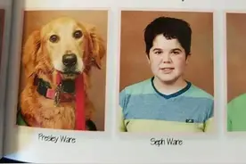 超乖萌的狗狗陪着主人上学，学校还让它毕业了！图片