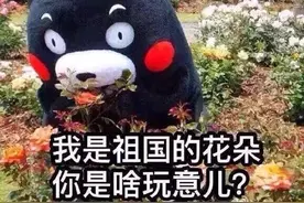 高二有了新定义图片