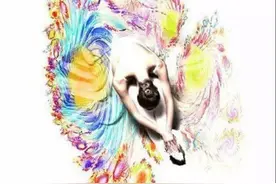 艺术与文化┃苏州芭蕾舞团是江苏省唯一，你们知道吗？图片