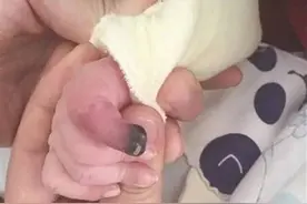 防抓手套≠防抓手铐，妈妈们该警惕了！图片